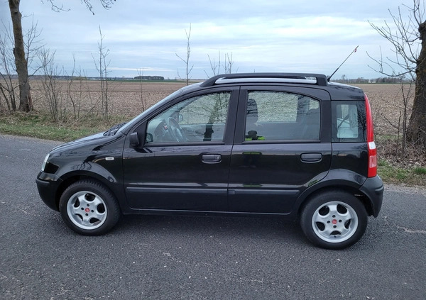 Fiat Panda cena 7900 przebieg: 158000, rok produkcji 2004 z Chełmno małe 352